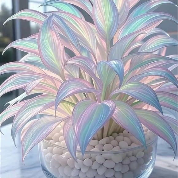 Meet your Posher - Picture 1 of 1